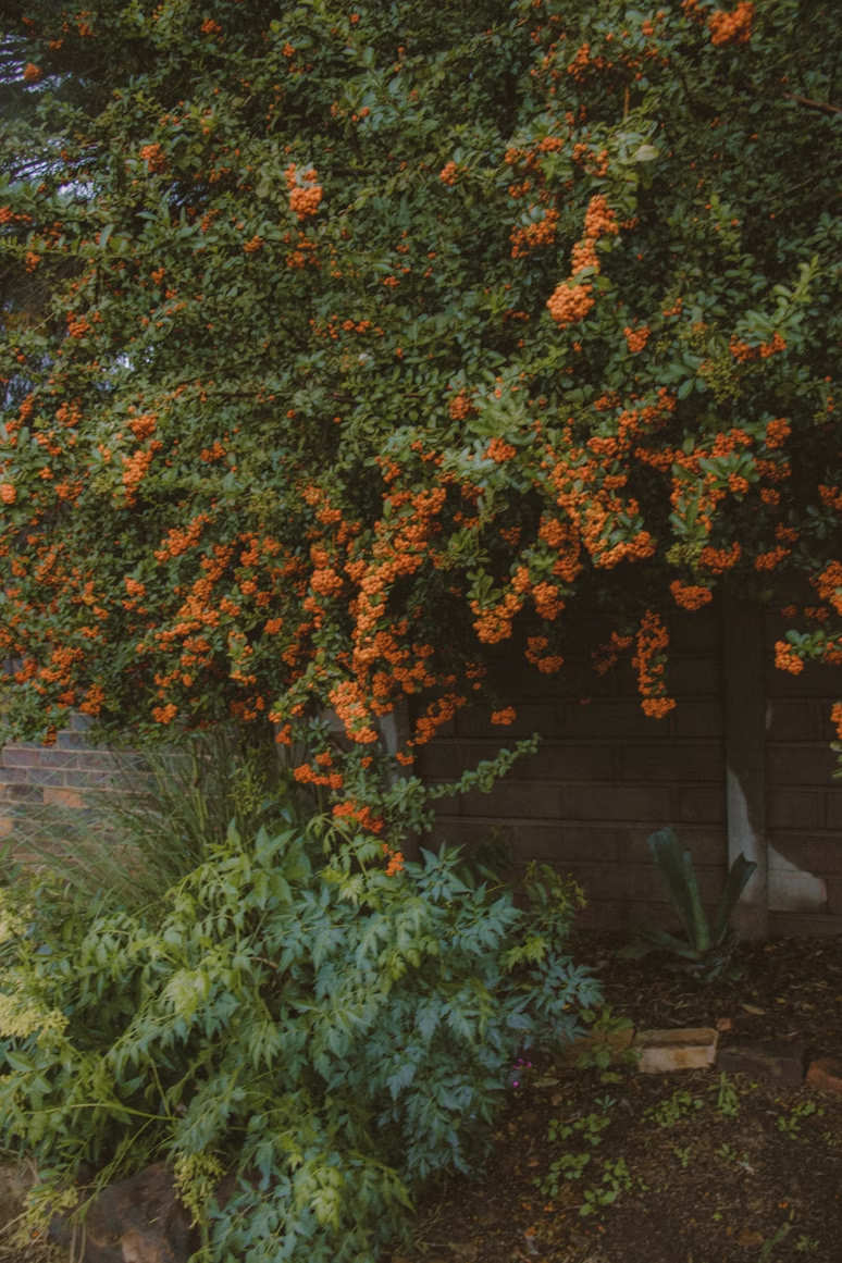Peaceful memorial setting in nature